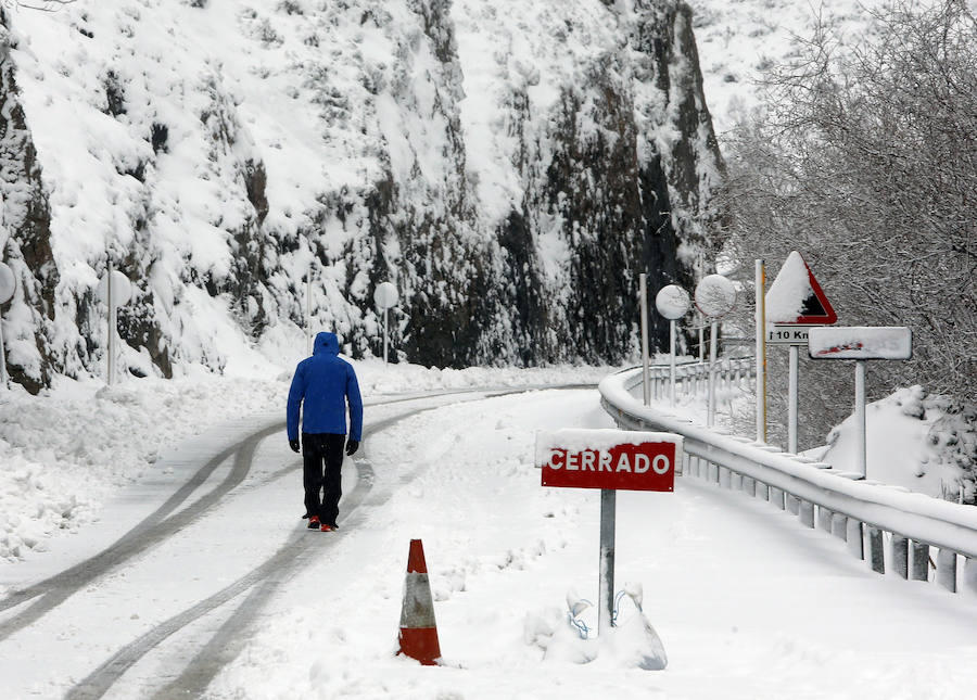 Las consencuencias de la borrasca 'Helena' en Asturias ha provocado una copiosa nevada en Pajares que unos han aprovechado para fotografiar y disfrutar pero otros han sufrido al volante