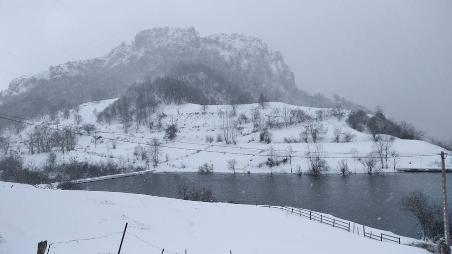 Las intensas nevadas que está dejando la borrasca 'Helena' a su paso por Asturias está complicando mucho la circulación por carretera, en especial, en los puertos de montaña. De hecho, se ha llegado a restringir el paso de camiones por Pajares y el Huerna y varios altos se han cerrado a todo tipo de vehículos. La nieve ha llegado incluso a la capital asturiana, que ha amanecido bajo un manto blanco. En otros puntos de la región, como Gijón, ha sido el granizo lo que ha cubierto de blanco las calles.