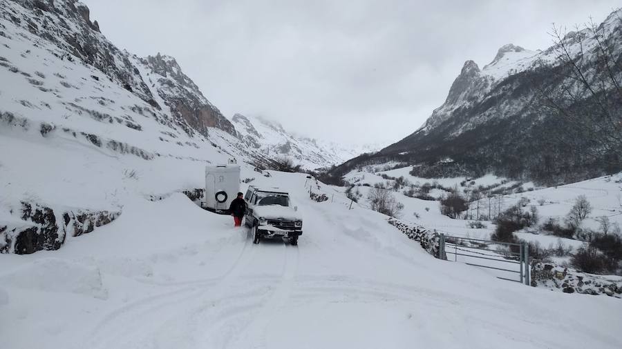 Las intensas nevadas que está dejando la borrasca 'Helena' a su paso por Asturias está complicando mucho la circulación por carretera, en especial, en los puertos de montaña. De hecho, se ha llegado a restringir el paso de camiones por Pajares y el Huerna y varios altos se han cerrado a todo tipo de vehículos. La nieve ha llegado incluso a la capital asturiana, que ha amanecido bajo un manto blanco. En otros puntos de la región, como Gijón, ha sido el granizo lo que ha cubierto de blanco las calles.