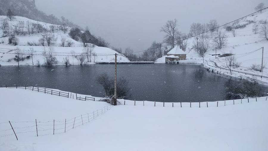 Las intensas nevadas que está dejando la borrasca 'Helena' a su paso por Asturias está complicando mucho la circulación por carretera, en especial, en los puertos de montaña. De hecho, se ha llegado a restringir el paso de camiones por Pajares y el Huerna y varios altos se han cerrado a todo tipo de vehículos. La nieve ha llegado incluso a la capital asturiana, que ha amanecido bajo un manto blanco. En otros puntos de la región, como Gijón, ha sido el granizo lo que ha cubierto de blanco las calles.