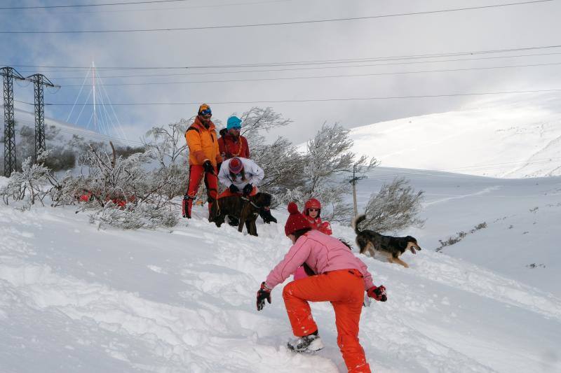 Los cielos despejados y la intensa nieve caída en las últimas horas animaron a numerosos usuarios a acercarse a las pistas. Las malas condiciones de la carretera dificultaron su objetivo. 