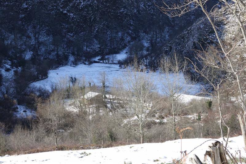 Las intensas nevadas han permitido incluso a algunos disfrutar de la nieve con sus esquís.