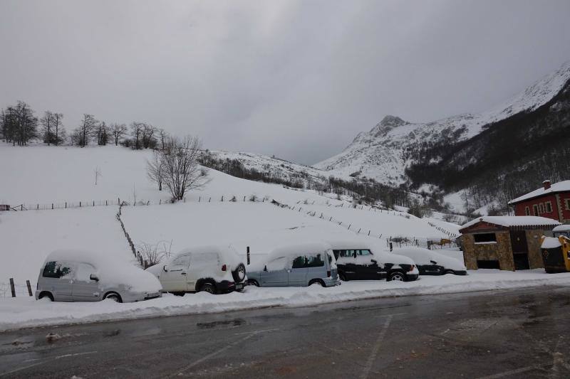 Las intensas nevadas que está dejando la borrasca 'Helena' a su paso por Asturias está complicando mucho la circulación por carretera, en especial, en los puertos de montaña. De hecho, se ha llegado a restringir el paso de camiones por Pajares y el Huerna y varios altos se han cerrado a todo tipo de vehículos. La nieve ha llegado incluso a la capital asturiana, que ha amanecido bajo un manto blanco. En otros puntos de la región, como Gijón, ha sido el granizo lo que ha cubierto de blanco las calles.