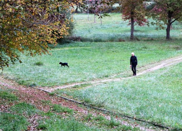 Una vecina paseando un perro por el parque periurbano. :: P. NOSTI
