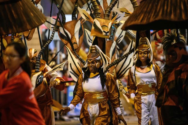 Millones de chinos dieron hoy la bienvenida al Año Nuevo lunar con numerosos festejos para celebrar la llegada del despreocupado y generoso cerdo, duodécimo símbolo del horóscopo, que sustituye al alegre pero inconformista perro. Varias personas participan en un desfile con motivo de los festejos en Hong Kong.