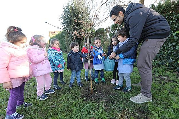 Los escolares plantaron un árbol junto a la pista polideportiva de El Pedrero, en Trasona. 