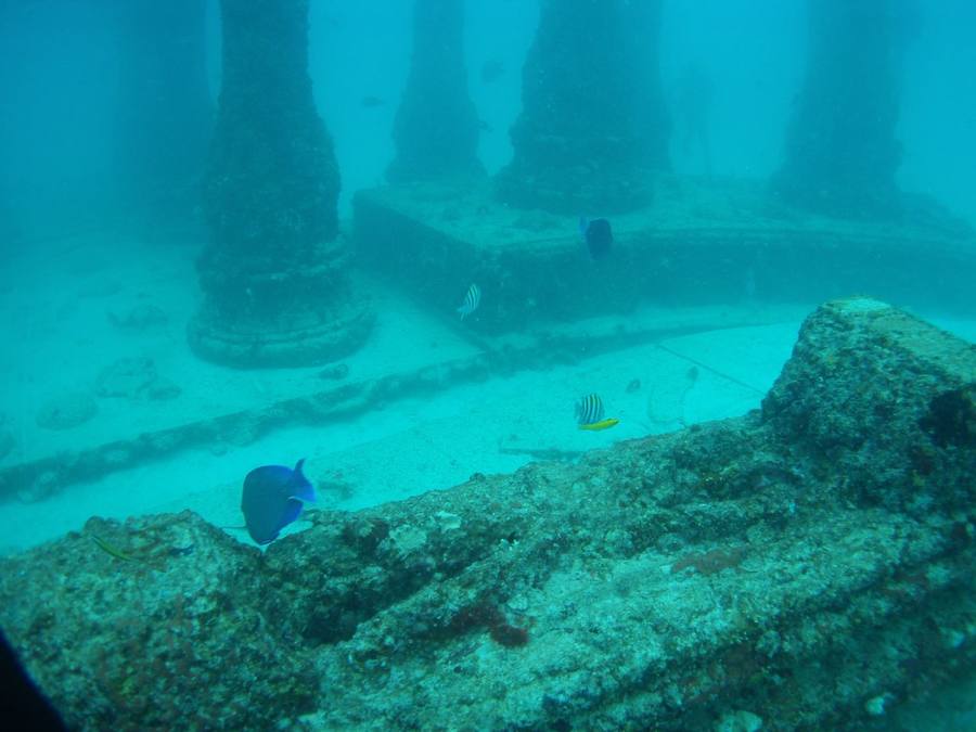 Neptune Memorial Reef (Florida) 