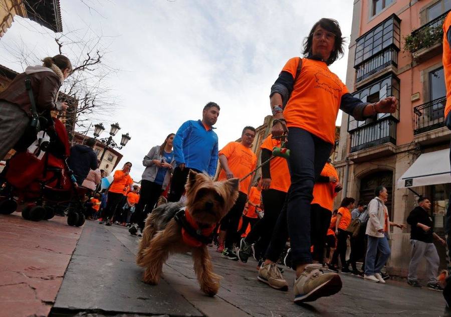 Oviedo, contra el cáncer infantil