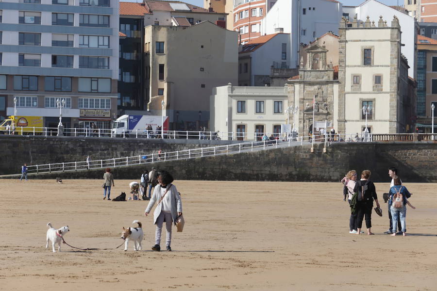 Decenas de personas se animaron a pasear por la Playa de San Lorenzo, bajo el sol y por la gran extensión de arena que dejó la bajamar