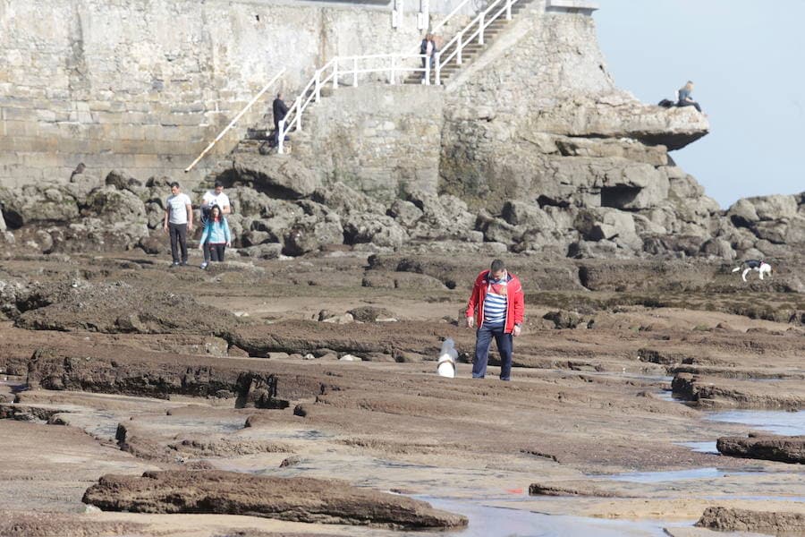 Decenas de personas se animaron a pasear por la Playa de San Lorenzo, bajo el sol y por la gran extensión de arena que dejó la bajamar