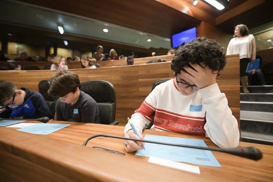 Sesenta alumnos Educación Infantil y Primaria de los colegios Lorenzo Novo Mier y Veneranda Manzano de Oviedo han participado en un Pleno en la Junta General en el que han reflexionado sobre la igualdad. La iniciativa forma parte del programa 'Abraza tus valores' de Aldeas Infantiles SOS.