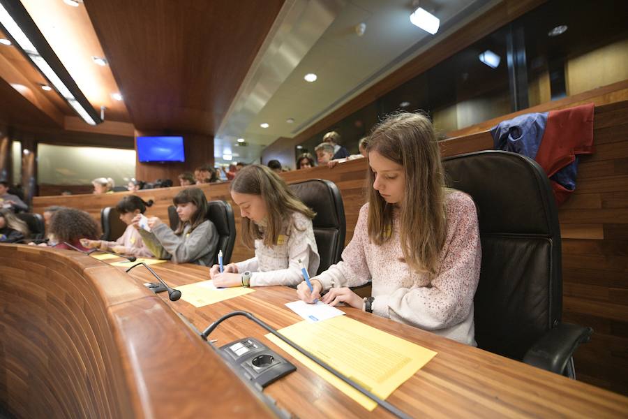 Sesenta alumnos Educación Infantil y Primaria de los colegios Lorenzo Novo Mier y Veneranda Manzano de Oviedo han participado en un Pleno en la Junta General en el que han reflexionado sobre la igualdad. La iniciativa forma parte del programa 'Abraza tus valores' de Aldeas Infantiles SOS.