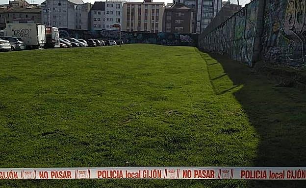 Parque clausurado tras el envenenamiento de varios perros en Gijón. 