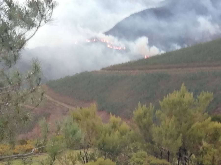 Una intensa oleada de incendios obliga a Asturias a solicitar la intervención del Ejército.