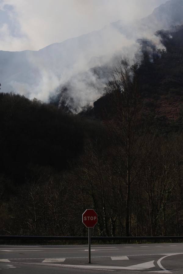 Fotos: Las imágenes que deja el fuego en Soto de los Infantes, en Salas