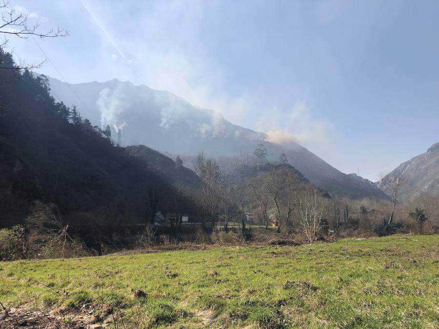 Fotos: Los incendios azotan el oriente asturiano