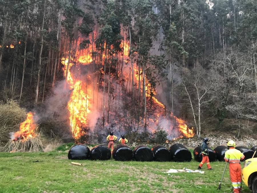 Fotos: Los incendios azotan el oriente asturiano