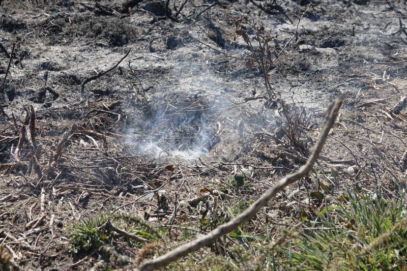 Un helicóptero del SEPA localizó a un incendiario quemando varios puntos del monte del concejo.