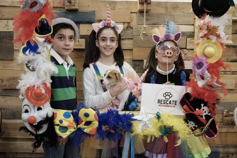 Green Zone acogió un desfile en el que las mascotas lucieron sus propios disfraces de antroxu