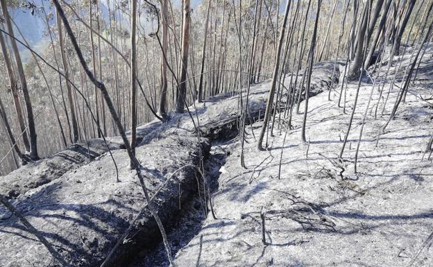 Imagen. Viejas trincheras quedaron al descubierto en San Martín.