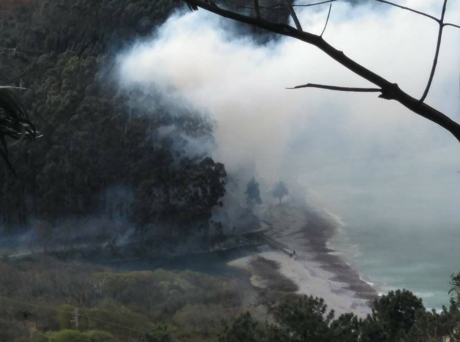 El fuego afectó a la zona de la playa de Concha Artedo y provocó que vecinos de una urbanización cercana se quedasen sin luz.