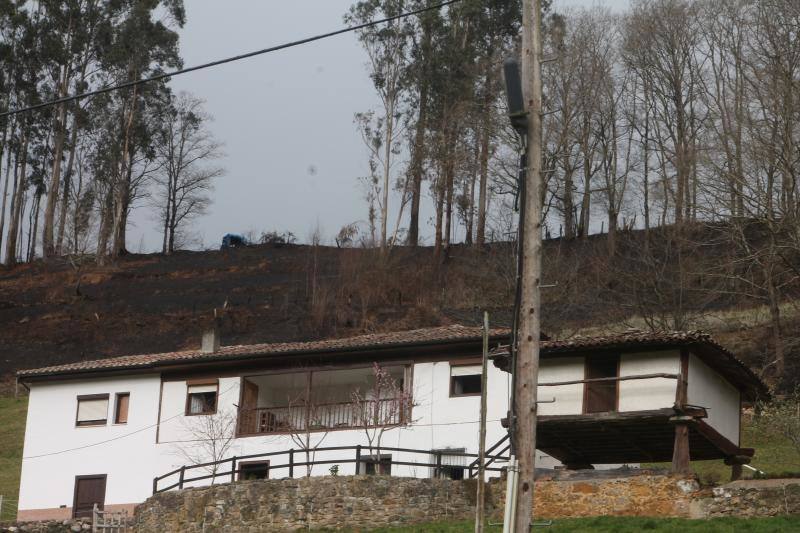 Este es el aspecto que presentaban los concejos del Oriente asturiano tras la oleada de incendios.