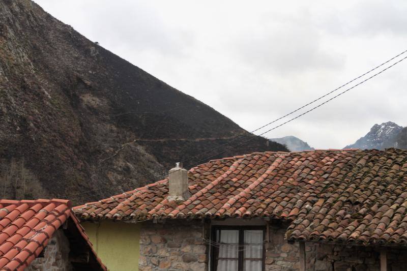 Este es el aspecto que presentaban los concejos del Oriente asturiano tras la oleada de incendios.