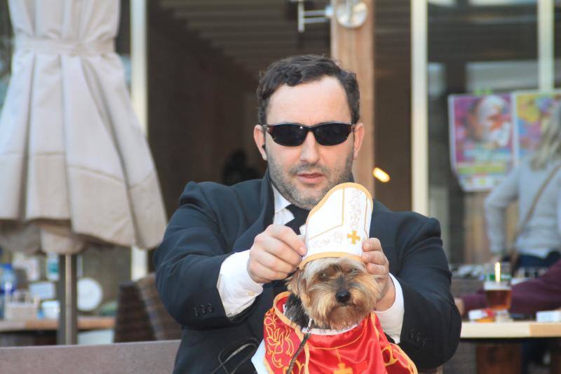 Los animales protagonizaron su propio concurso de disfraces y tuvieron su minuto de gloria en el desfile de la tarde del sábado.