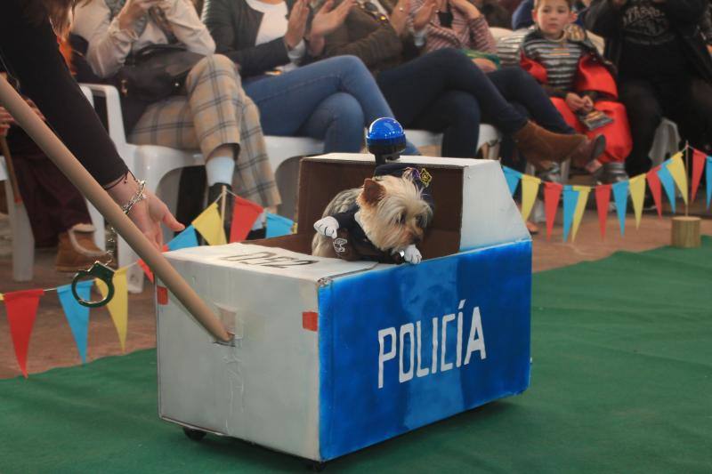 Los animales protagonizaron su propio concurso de disfraces y tuvieron su minuto de gloria en el desfile de la tarde del sábado.