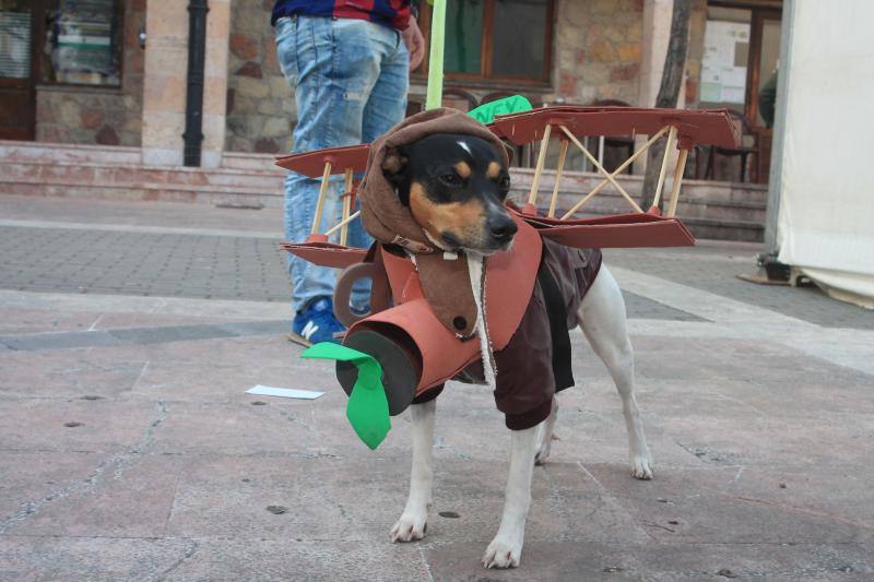 Los animales protagonizaron su propio concurso de disfraces y tuvieron su minuto de gloria en el desfile de la tarde del sábado.