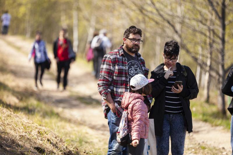 Multitud de niños y padres plantaron árboles en el bosque La Viesca la Olla durante una divertida mañana en conexión con la naturaleza.