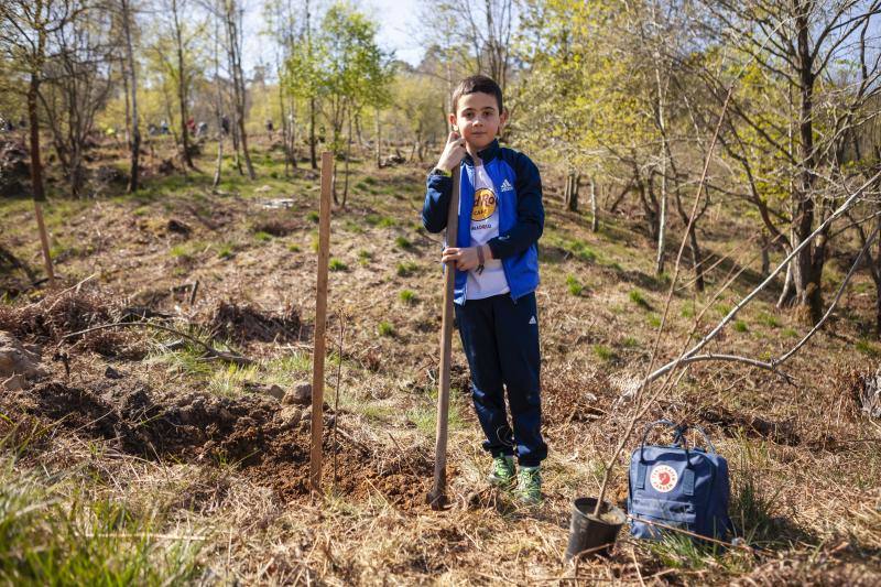 Multitud de niños y padres plantaron árboles en el bosque La Viesca la Olla durante una divertida mañana en conexión con la naturaleza.