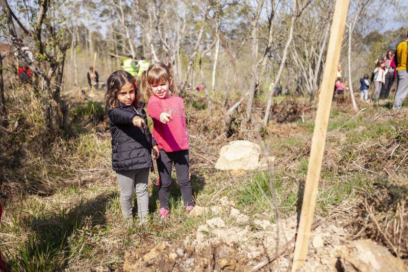 Multitud de niños y padres plantaron árboles en el bosque La Viesca la Olla durante una divertida mañana en conexión con la naturaleza.