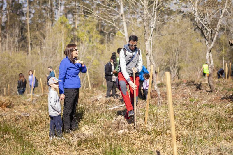 Multitud de niños y padres plantaron árboles en el bosque La Viesca la Olla durante una divertida mañana en conexión con la naturaleza.