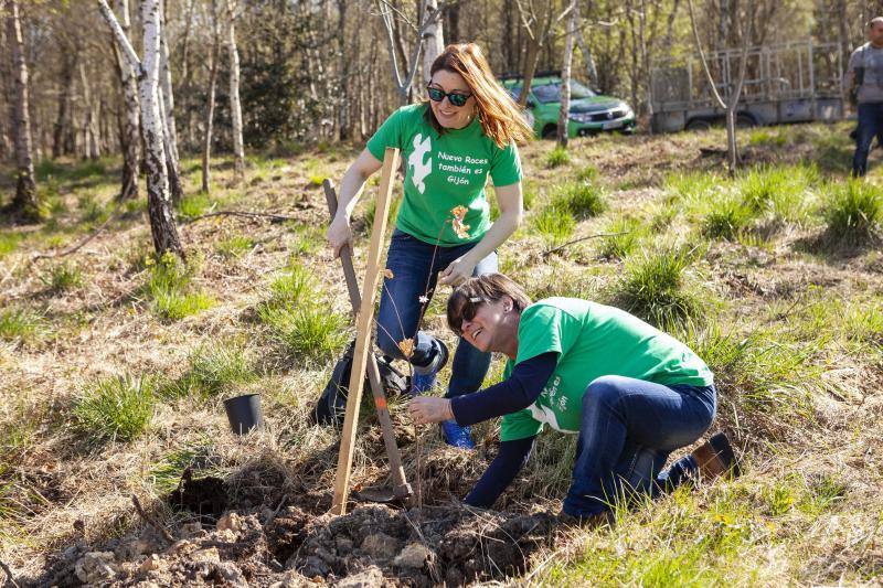 Multitud de niños y padres plantaron árboles en el bosque La Viesca la Olla durante una divertida mañana en conexión con la naturaleza.