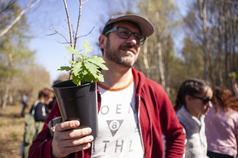 Multitud de niños y padres plantaron árboles en el bosque La Viesca la Olla durante una divertida mañana en conexión con la naturaleza.