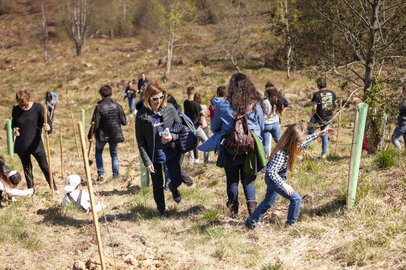 Multitud de niños y padres plantaron árboles en el bosque La Viesca la Olla durante una divertida mañana en conexión con la naturaleza.