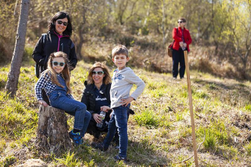 Multitud de niños y padres plantaron árboles en el bosque La Viesca la Olla durante una divertida mañana en conexión con la naturaleza.