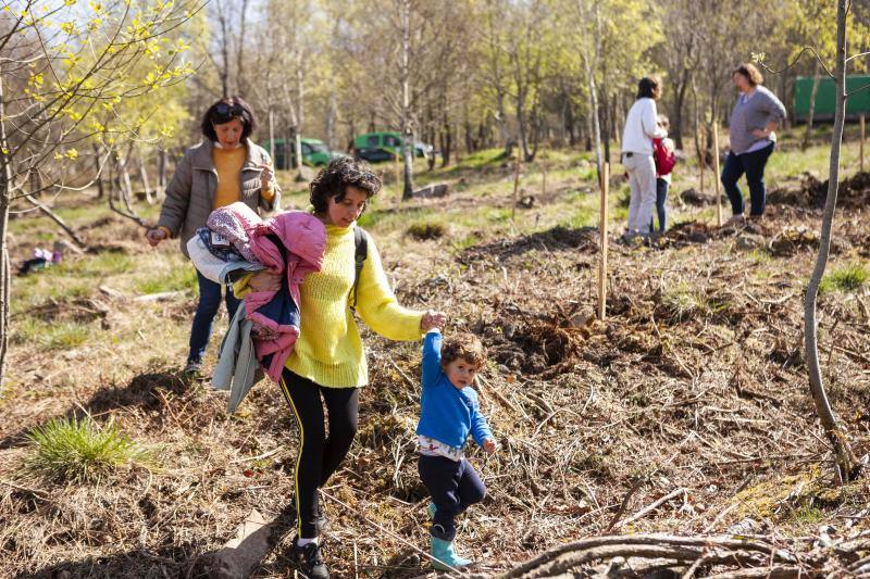 Multitud de niños y padres plantaron árboles en el bosque La Viesca la Olla durante una divertida mañana en conexión con la naturaleza.