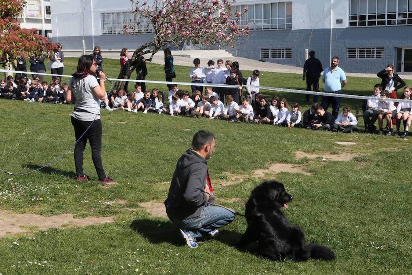 Los escolares del Palacio de Granda comparten experiencias con los perros. La importancia de darles otra oportunidad y estar con ellos en todo momento.