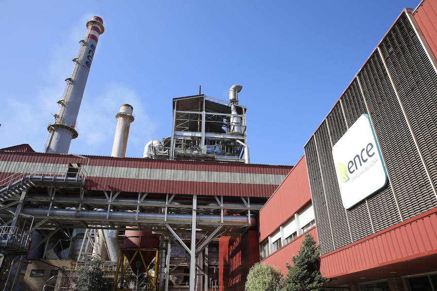 El tiempo primaveral invita a lanzarse a la aventura en plena naturaleza y, para ello, la región ofrece multitud de posibilidades para disfrutar en familia o con amigos de actividades al aire libre.