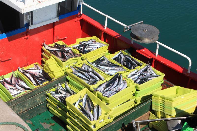 Cantabria amenaza con movilizarse para evitar un nuevo reparto de las cuotas. El puerto de Lastres presentaba mucha actividad este lunes, donde además de los barcos propios del puerto se han podido ver tambien lanchas de las comunidades vecinas de Cantabria y Galicia.