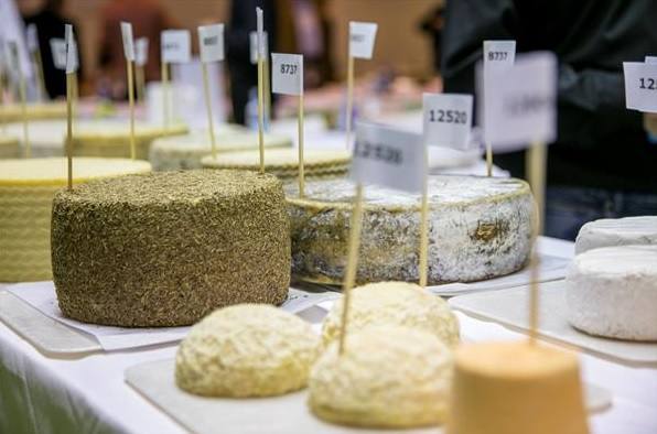 Quesos participantes en el campeonato