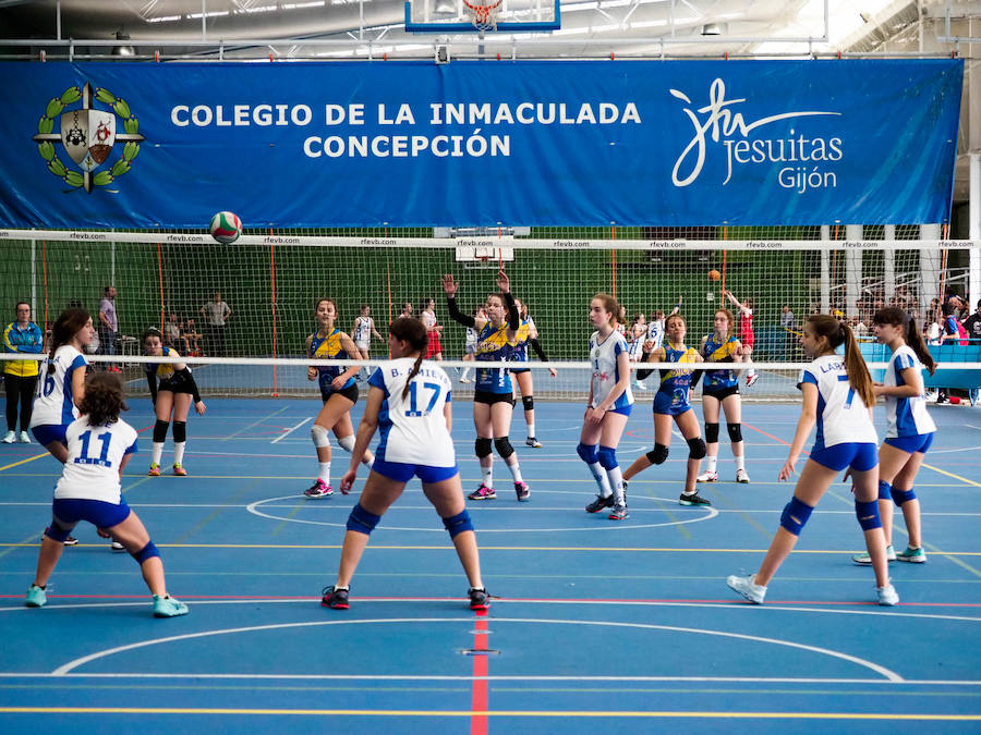 Recuerdo, Gijón Jovellanos, Tabirako, Loyola y La Calzada, en Gijón, se proclamaron campeones. 