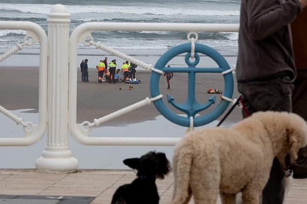 Los Servicios de Emergencias trataron de reanimar al hombre durante cuarenta y cinco minutos, sin éxito. 