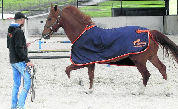 Hípica Porceyo. Álvaro Díaz con 'Visama Life', de 5 años, campeón de España a los 4.