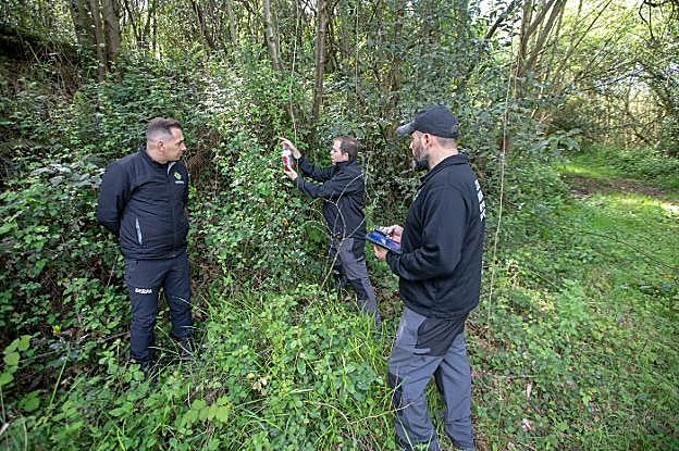 La colocación y el control de los nidos en Nubledo, Corvera. 