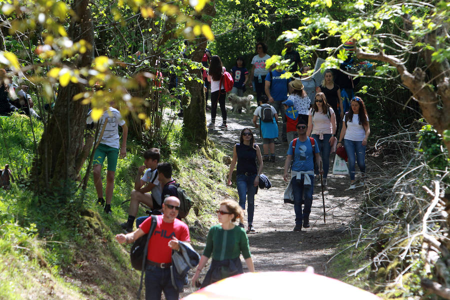 Centenares de romeros se han dado cita en el prau de las fiestas de La Flor de Pola de Lena. El sol ha animado una cita en la que ha habido misa y procesión, comida típica y música y baile tradicional. 