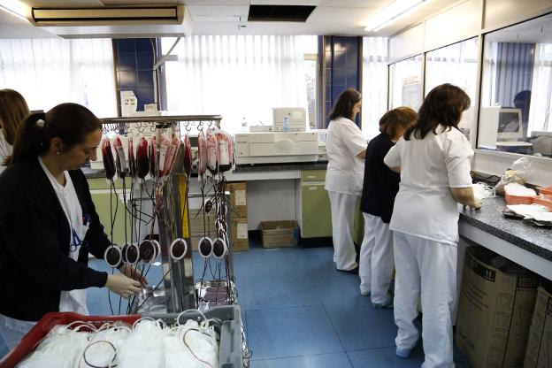 Trabajadoras del Centro Comunitario de Sangre y Tejidos, a donde ha de acudir quien quiera ser donante de médula. 