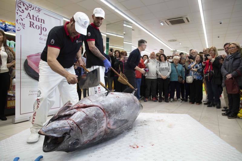 Alimerka acogió a profesionales de la empresa Petaca Chico para despiezar el ejemplar en los bajos de El Molinón. Tras el despiece, el chef Estrella Michelín del Real Balneario de Salinas, Isaac Loya, procedió a realizar un showcooking junto a su ayudante en las inmediaciones del supermercado para que el público pudiera testear el sabor del primer atún rojo salvaje de la temporada.